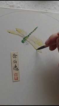 画一只绿蜻蜓。
