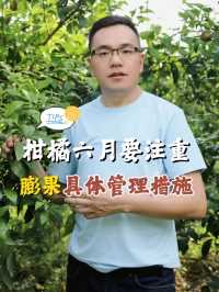 柑橘六月要注重膨果，具体管理措施#快省利直淋肥