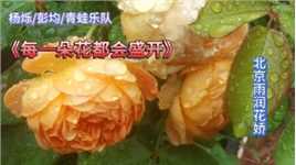 听杨烁/彭均/青蛙乐队《每一朵花都会盛开》赏北京雨润花更红！（上）