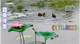 听郭劲《落花.花雨》踏雨寻香，赏北京红领巾公园雨中美景！（上）