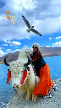 所有的文案，都不及踏上羊湖的浪漫？西藏三大圣湖一羊卓雍措。“有一种蓝，叫做羊湖蓝”#白牦牛#西藏#旅行随拍
