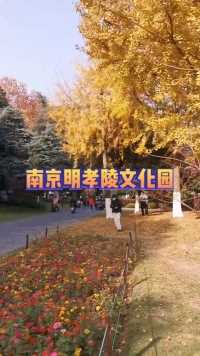 去年秋天在南京明孝陵文化园，风景很美。