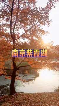 南京紫霞湖秋日如仙境一般。