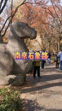 南京石象路在明孝陵景区内，网红景点。