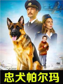 07 狗狗被主人遗弃机场，它却在机场等候两年感动世界《忠犬帕尔玛》#催泪电影 