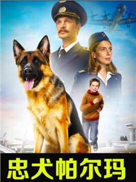 02 狗狗被主人遗弃机场，它却在机场等候两年感动世界《忠犬帕尔玛》#催泪电影 