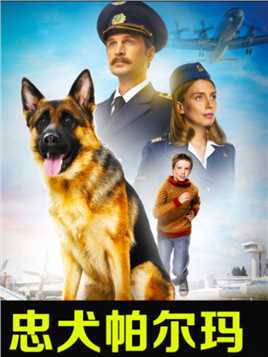 05 狗狗被主人遗弃机场，它却在机场等候两年感动世界《忠犬帕尔玛》#催泪电影 