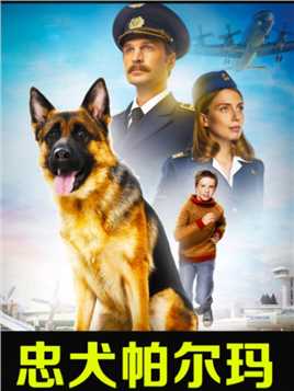06 狗狗被主人遗弃机场，它却在机场等候两年感动世界《忠犬帕尔玛》#催泪电影 