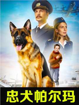 03 狗狗被主人遗弃机场，它却在机场等候两年感动世界《忠犬帕尔玛》#催泪电影 