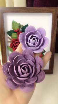 紫色系玫瑰