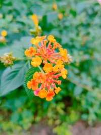 来微视，玩转互动视频。