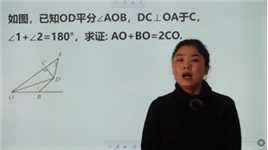 贵阳数学竞赛：求证AO+BO=2CO，学霸都会做，快来学