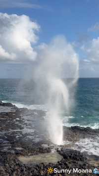 夏威夷考艾岛的海边喷泉