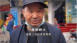 71岁老人，凌晨三点起床卖青菜，一早上只有几十块