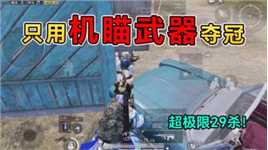 和平精英：挑战天文漫游，只用“机瞄武器”夺冠，超极限29杀！