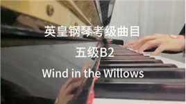#英皇考级 #钢琴 英皇钢琴考级曲目 五级 B 2《Wind in the Willows》
2023-2024版