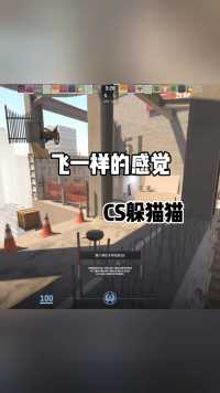 CS2躲猫猫:这藏点怎么说