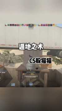 CS2躲猫猫:地下一万个