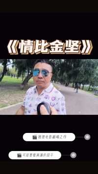 情比金坚