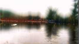 光影蹉跎，世界喧嚣，愿每份心酸都有人心疼，所有人都能被温柔以待。＃旅游推荐官＃旅行摄影师＃这里是中国＃皖南＃徽州＃宏村