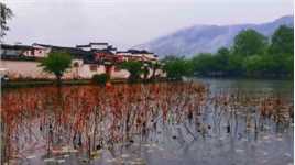 世上唯一不能复制的就是时间，唯一不能重演的是人生，该怎么走，过什么样的人生，全凭自己的选择和努力。＃旅游推荐官＃旅行摄影师＃这里是中国＃皖南＃徽州＃宏村