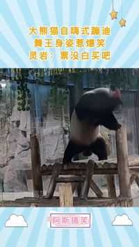 大熊猫自嗨式蹦迪，舞王身姿惹爆笑，灵岩：票没白买吧？