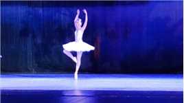 感受芭蕾舞魅力，圣彼得堡芭蕾舞剧院《天鹅湖》片段之九