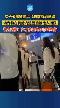 旅客带蜜袋鼯上飞机致航班延误，该宠物在机舱内逃脱后被他人捕获，警方通报：女子依法处以行政拘留