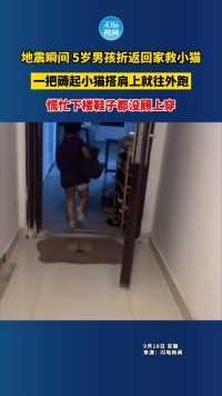 地震瞬间 5岁男孩折返回家救小猫，一把薅起小猫搭肩上就往外跑，慌忙下楼鞋子都没顾上穿