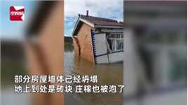 黑龙江洪水退去后，村民返家时房子变危房庄稼泡水：人安全就好