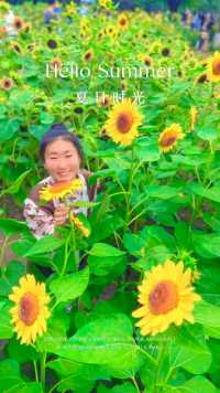 #向日葵#奥森公园 #北京#暑假#旅游 向日葵有个很好的花语：入目无别人，四下皆是你。有你时，你是太阳我目不转睛，无你时，我低头谁也不见。