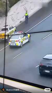 流浪鸭无视交通法规，高速上横冲直撞，新西兰警察文明执法！