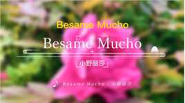 世界名曲BesameMucho(深深的吻我) 小野丽莎演唱 