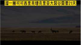 无人区有多大？完整横穿青海可可西里、西藏羌塘，纵贯克里亚大裂谷仅需二十一天.#无人区#视觉震撼#户外