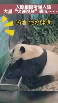 可爱大熊猫，能卖萌能听懂人话，有视频有证据。