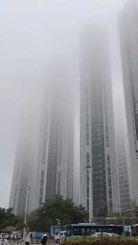 在深圳第一次看到这么大的雾。#云雾缭绕人间仙境 #古玉泉