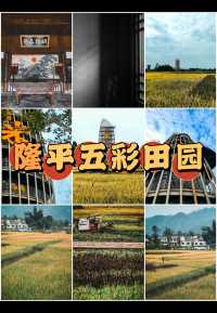 手机摄影作品分享：这里是重庆首个水稻科普教育基地