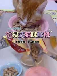 吃点啊#记录猫咪日常 #吃货猫 #吧唧小猫