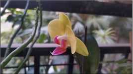 借此歌送给莘莘学子奋斗青春，无限可能……愿用心耕耘的人都有收获