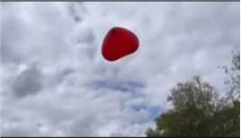 塞纳河畔的告白气球🎈🎈🎈