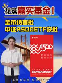 花落嘉实基金！全市场首批中证A500ETF获批#基金#财经