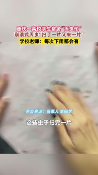 重庆一高校学生宿舍“灭虫忙”，崩溃式灭虫“扫了一片又来一片”，学校老师：每次下雨都会有