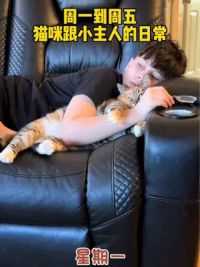 周一到周五猫咪跟小主人的日常 #吴半首版你 #猫咪 #动物的迷惑行为 #萌物农场