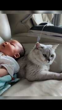 猫：这孩子你管不管！