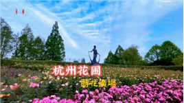 杭州花圃莳花广场—月季季😊