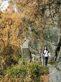 游柳州龙潭公园，爬上孔雀山和雷山，风景不错，公园非常大，重点是免费😎😎