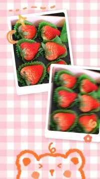 最喜欢草莓🍓的Vivi