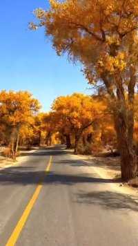 都说秋天适合思念，其实更适合见面#最美的风景在路上 #一起享受大自然的美