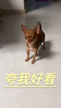 我就往这一站，就得夸我好看！