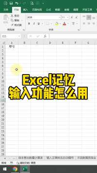 Excel记忆输入功能怎么用